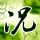 办理高仿莫比尔大学文凭学位【degxx.com】